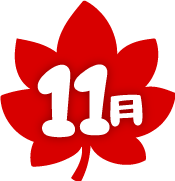 11月